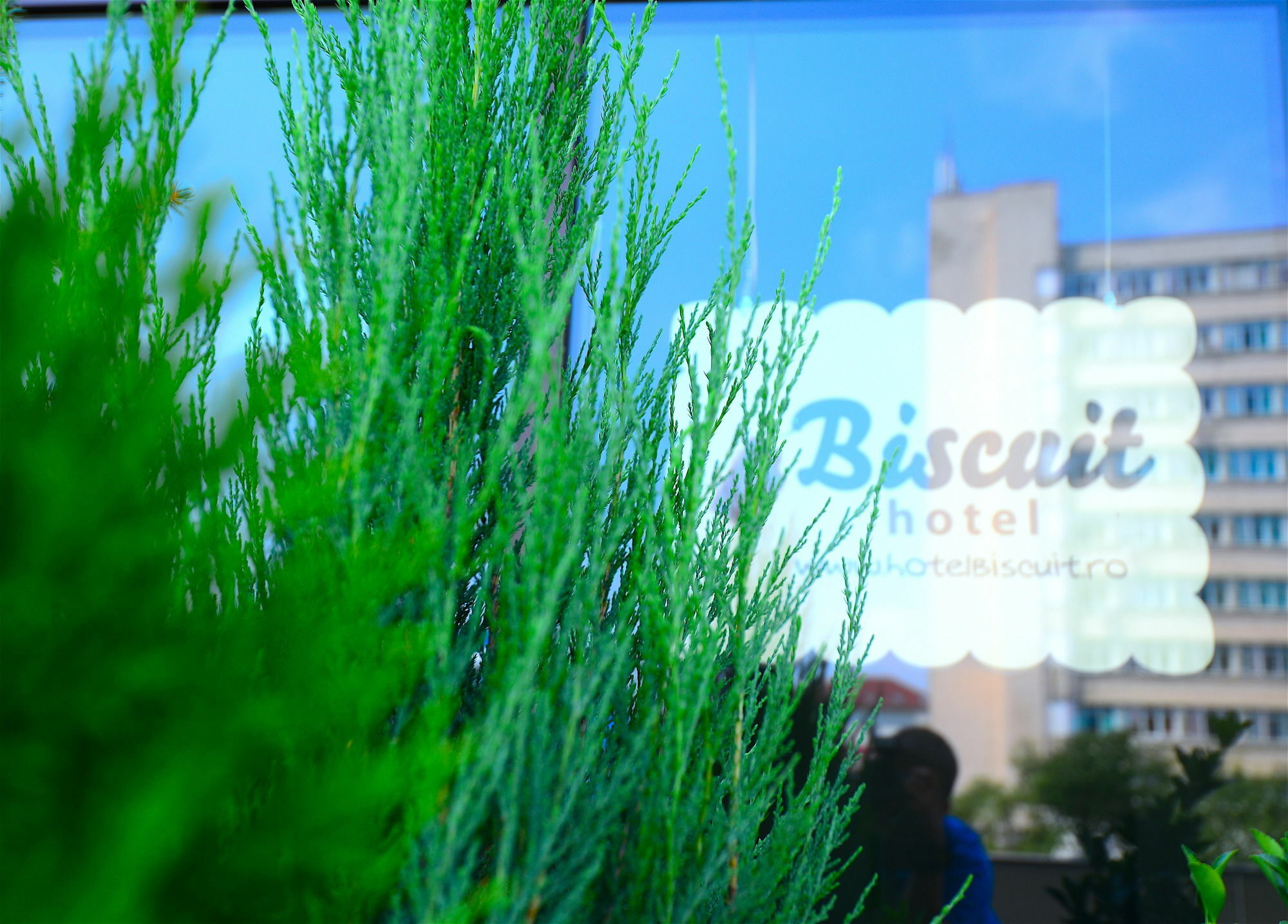 Hotel Biscuit Kolozsvár Kültér fotó